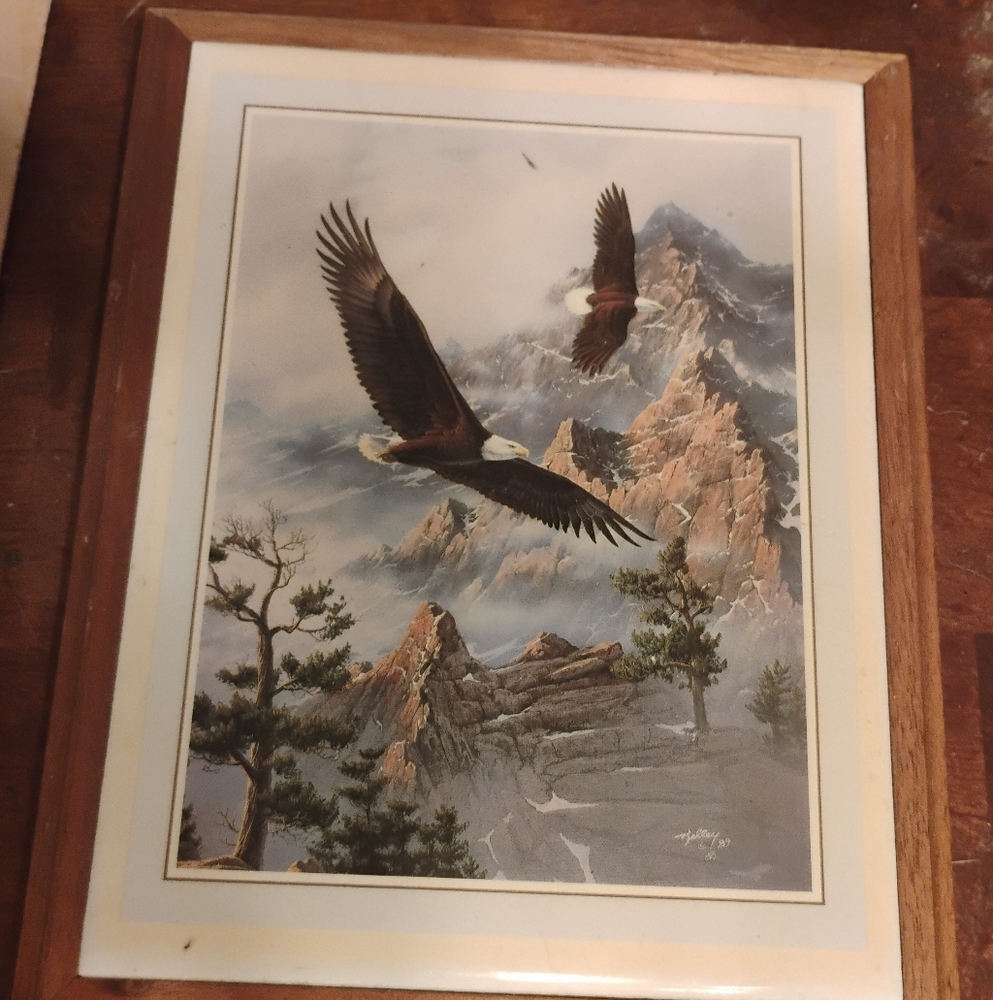 Framed Eagle Mountain Artwork